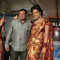 Palam Silk Fashion Show 2011 Pictures | Picture 74235